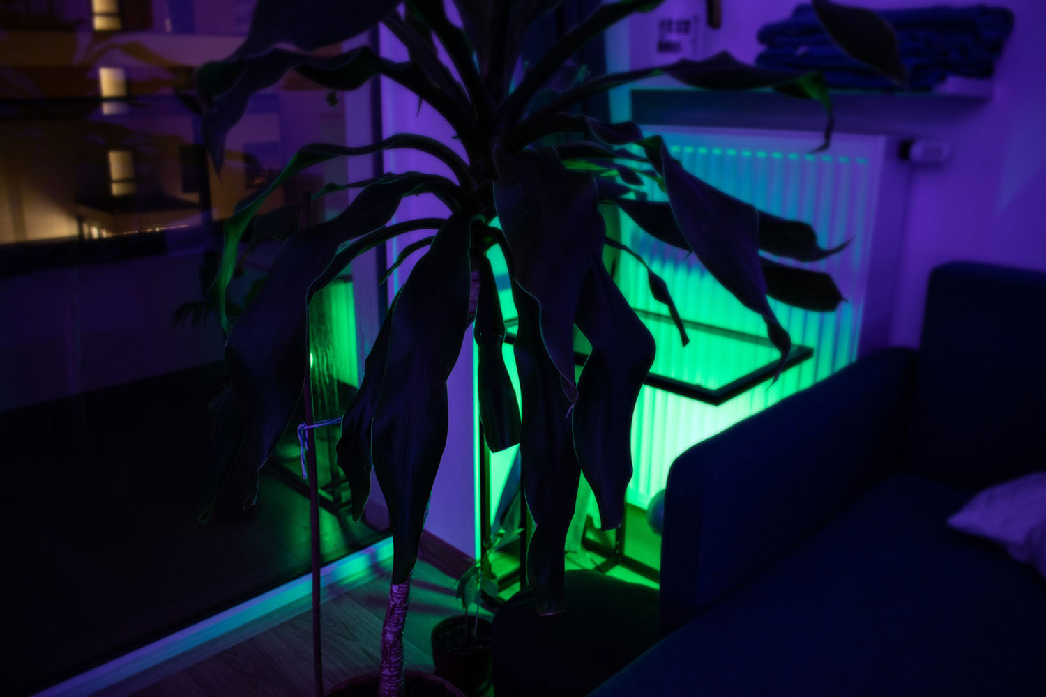 oświetlenie LED RGB roślin